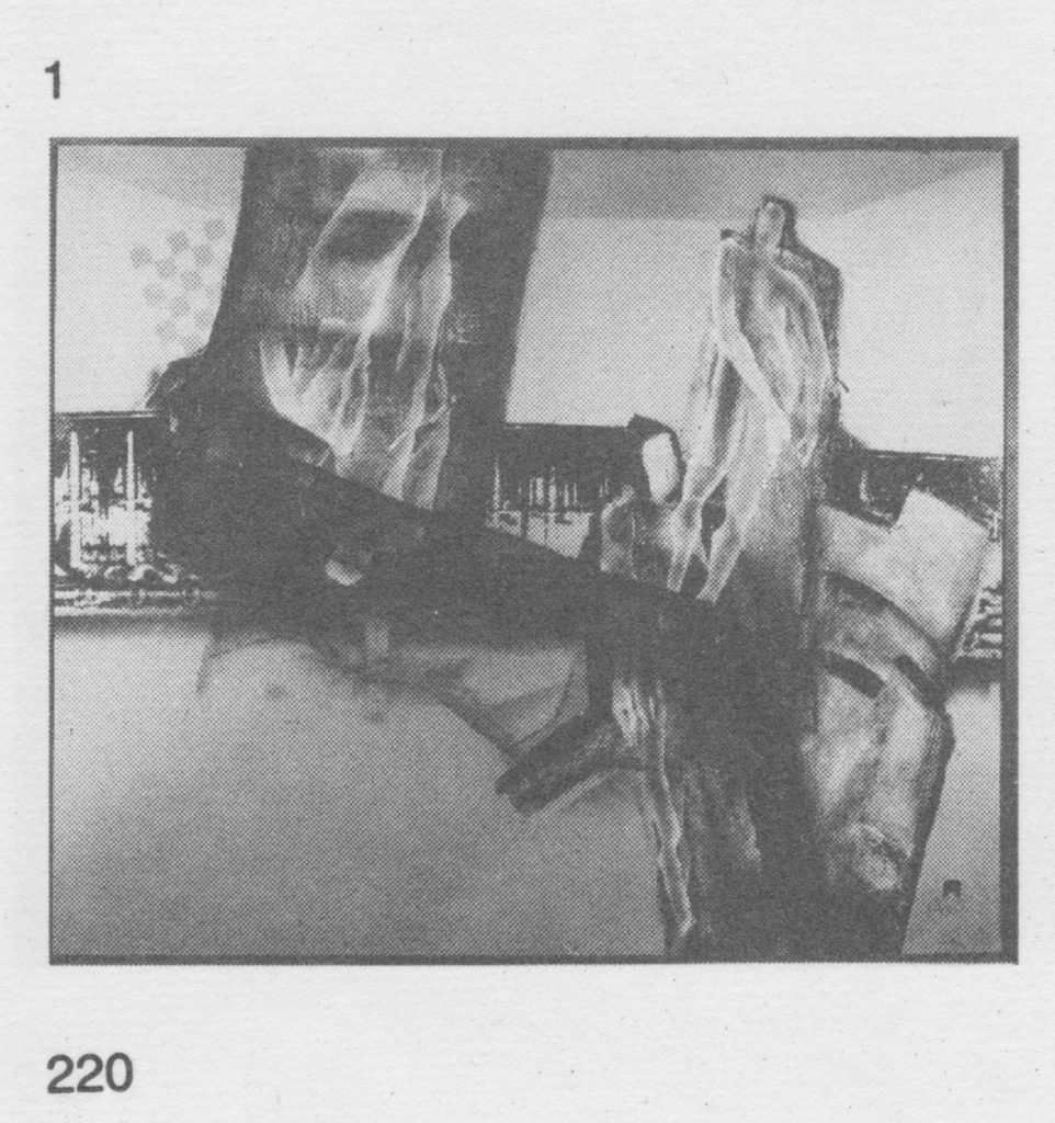 Katalog Bezirkskunstausstellung KmSt S 220